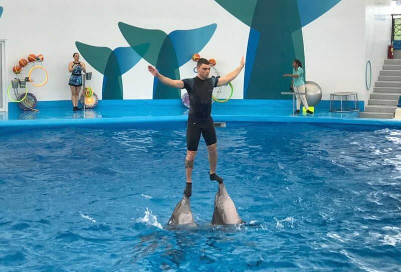 Плавание с дельфинами